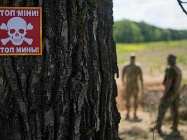 Image for  Finland votes to leave land mine treaty as Nordic country boosts defenses