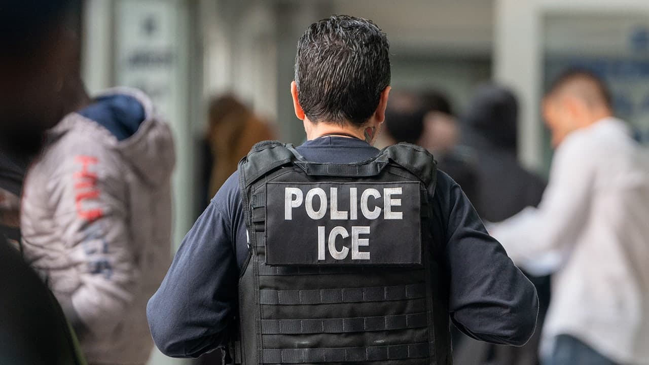 Image for Chicago suspends online application website that allowed illegal immigrants to obtain IDs after ICE subpoena
