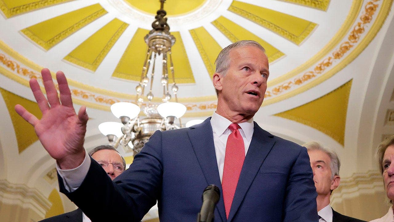 Image for 'Baby steps': Leader Thune details his work to corral Republicans behind Trump's legislative vision
