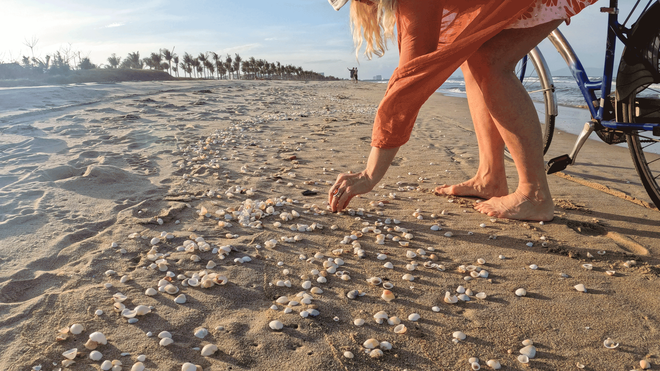Image for Beach visitor accidentally picks up shell of venomous snail that can kill a human in moments